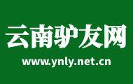 云南驴友网