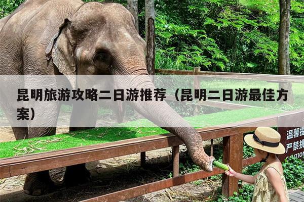 昆明旅游攻略二日游推荐(昆明二日游最佳方案)